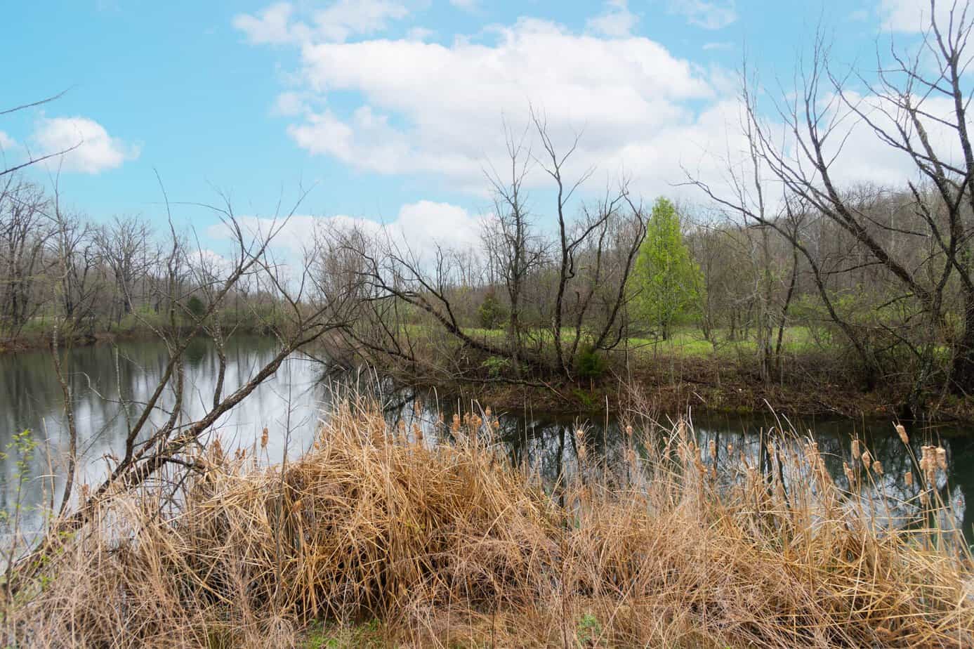 Morgan County. Country living, 15 acres, land, acreage, pond. woods, creek