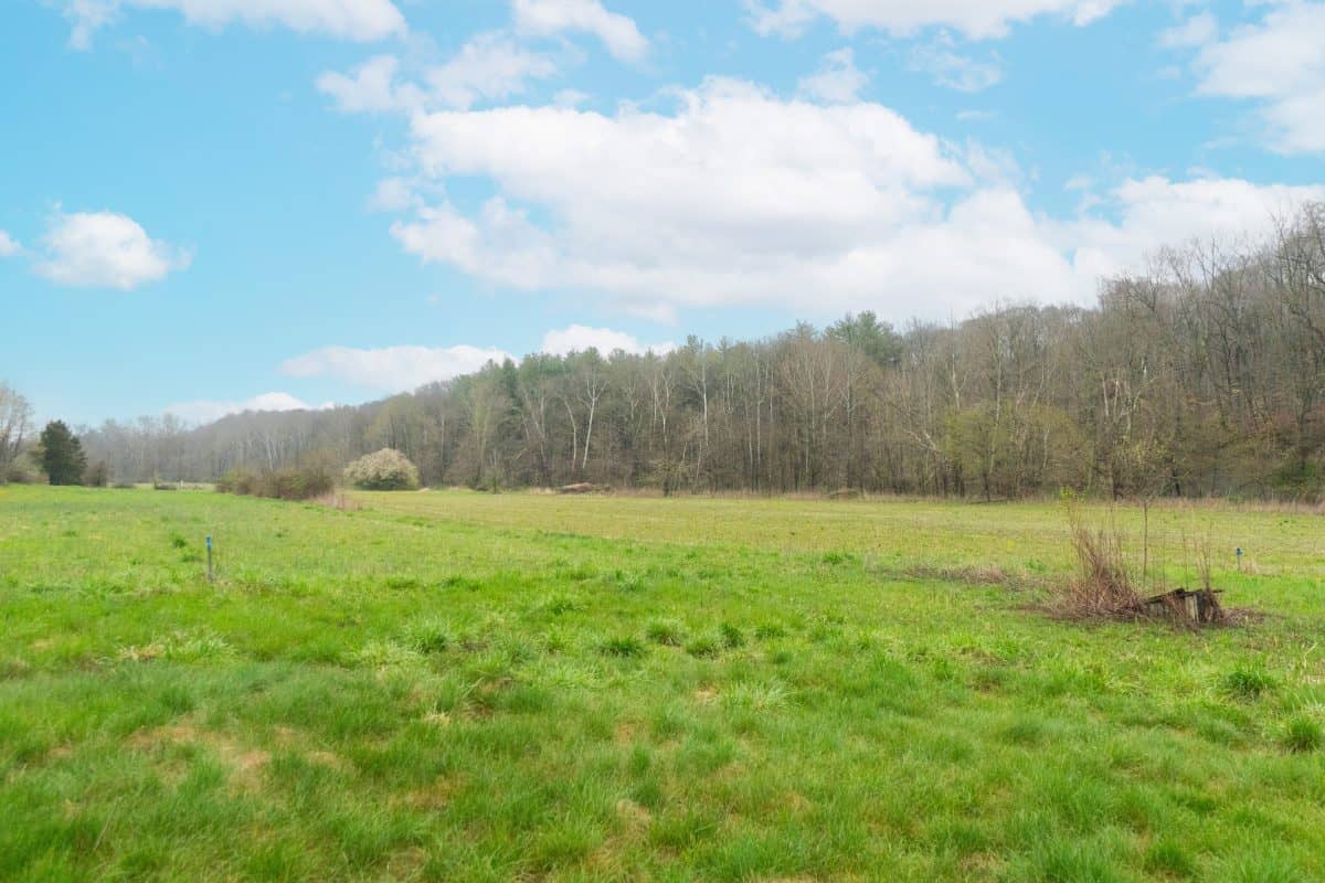 6733 Morgan Lane Morgantown, Indiana 46160