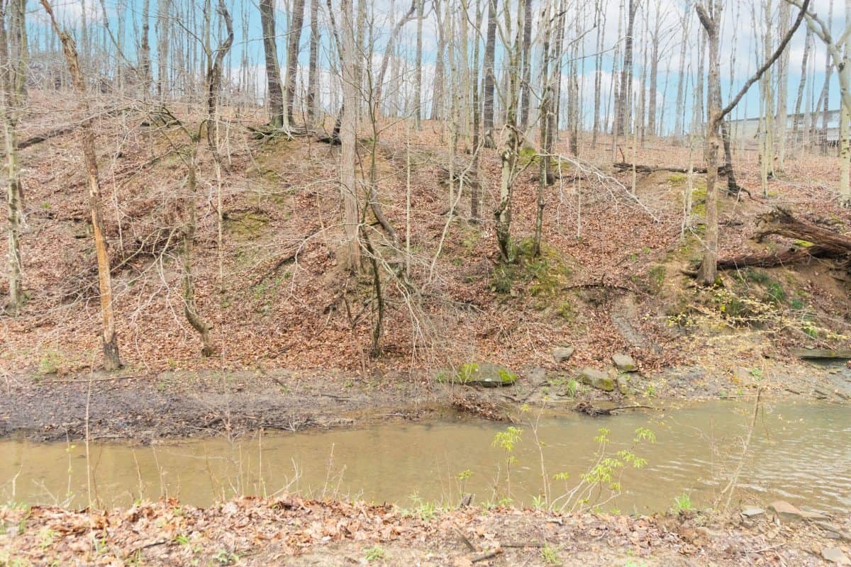 6733 Morgan Lane Morgantown, Indiana 46160