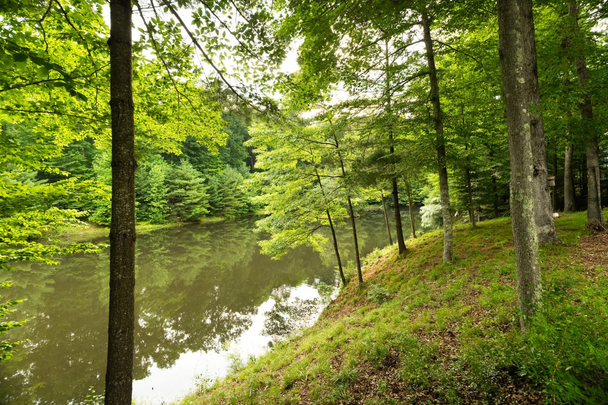 60 Pine Hills Dr. Nashville, IN 47448