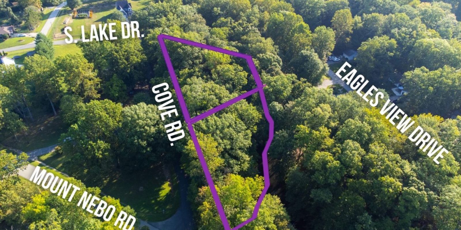 Painted Hills, Lake Life