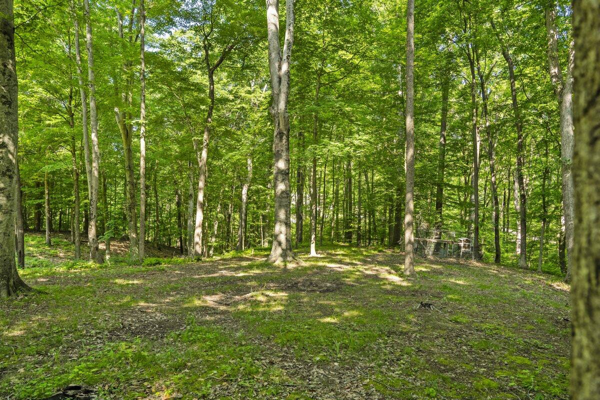 2034 Dynasty Ridge Martinsville, IN 46151